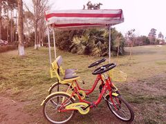 -白鹭湾湿地公园