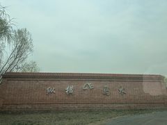 -北京群众马术培训基地