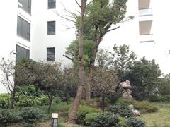 iphone_upload_pic-苏州香山国际大酒店