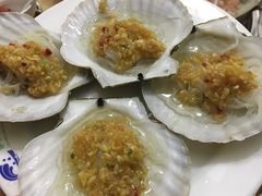 扇贝-春华海鲜城(广场西苑店)