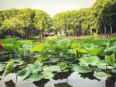 -河南省黄河迎宾馆