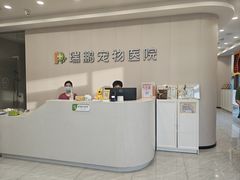 -瑞鹏宠物医院·骨科·猫科·内科(第一中心)