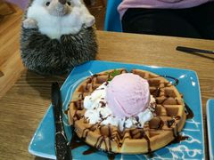 -藦茜花园宠物主题亲子互动体验馆(国顺东路店)
