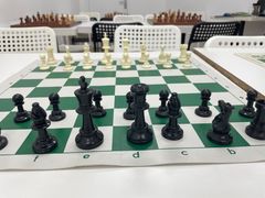 -常青藤国际象棋(新奥店)