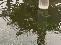 -前关湿地公园