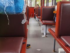 -合肥滨湖国家森林公园