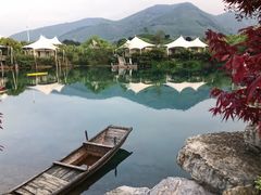 -帐篷客·溪龙茶谷度假酒店