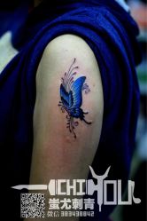 蝴蝶纹身-北京蚩尤刺青
