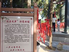 -汤阴县羑里周易博物馆
