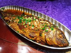 村长家的功夫鱼-95号酱骨·一块豆腐(展春园西路店)