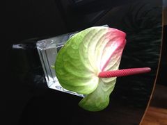 iphone_upload_pic-厦门海港英迪格酒店(中山路店)