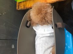 -沈妈砂锅(光华村店)