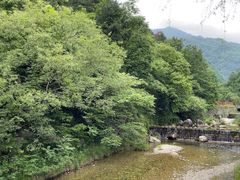 -牛背梁国家森林公园