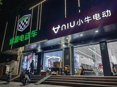 -绿源电动车(普陀专卖店)