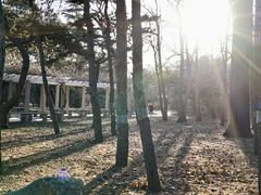 -国家植物园南园