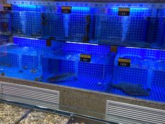 水产区-永红源·啤酒烧烤海鲜大排档(台柳路店)
