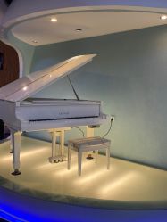 -比华利美容医院