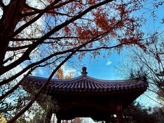 -元大都城垣遗址公园