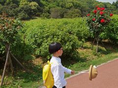-龙寺生态园