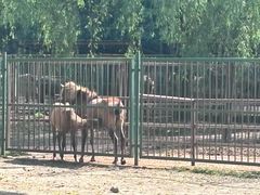 -秦皇岛野生动物园