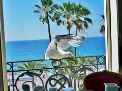 -内格雷斯科酒店