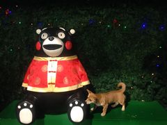 -大鲁阁保龄球(苏州园区店)