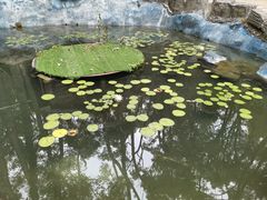 -石燕湖生态旅游景区