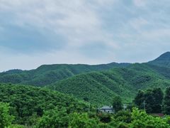 -莫干山风景区