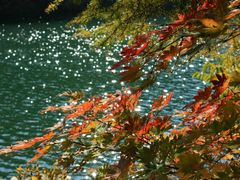 -丹东天桥沟景区