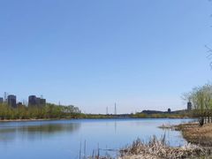 -永定河休闲森林公园