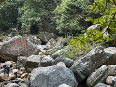 -石台牯牛降景区