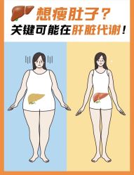 -Fundi张玉珊修身堂·indiba·BTL科技瘦身