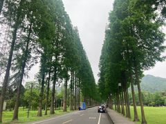 -青城山