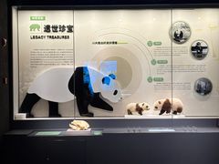 -四川大学博物馆