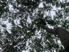 -朝阳公园