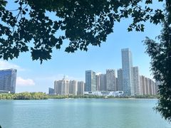 -天鹅湖体育公园
