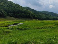 -江心岛