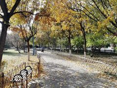 -丰台科技园生态主题公园