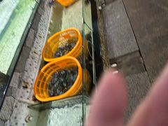 -沙田台山海鲜·酣客酒窖