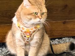 -想见你(咖啡·茶饮·甜品·江汉路店)