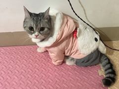 -东莞宠友24H宠物中心医院·转诊夜诊·异宠(新河北路院)