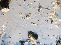 -北海金海湾红树林生态旅游区