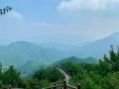 -大岭沟猕猴桃谷风景区