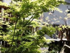 -みかわ是山居