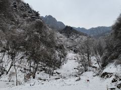 -秦岭终南山世界地质公园翠华山景区