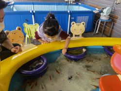 -小蜜蜂农场(凯德七宝购物广场店)