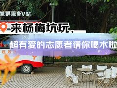 -杨梅坑