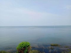 -鄱阳湖国家湿地公园