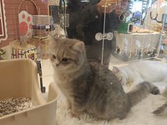 -天津万象城