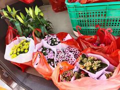 -桂林市花鸟市场